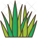 Grass Nature Icon