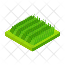Grass Unmoved Isometric Icon