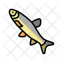 Grass Fish Icon