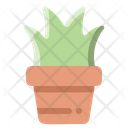 Grass Plant Icon