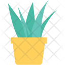 Grass Pot Icon