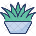 Grass Pot Houseplant Leaves Icon