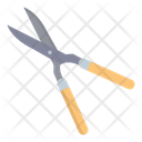 Grass Scissor  Icon