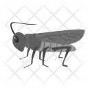 Grasshopper Animal Wildlife Icon