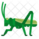Grasshopper Icon