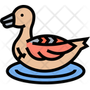 Greater Scaup Bird Icon