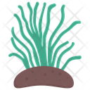 Green Algae  Icon