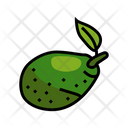 Green Avocado Leaf Icon