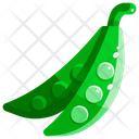 Green Beans Beans Vegetable Icon