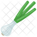 Garlic Allium Sativum Icon