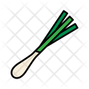 Green onion  Icon