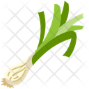 Green onion Icon