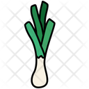 Green Onion Vegetable Organic Icon