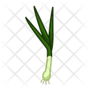 Green Onion  Icon