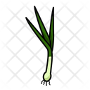 Green Onion  Icon