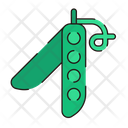 Green Peas Green Pea Fresh Icon