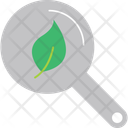 Green Research Icon