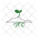 Green sprout with roots  Icon