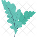 Leaf Nature Greenery Icon