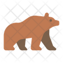 Bear Grizzly Animal Wild Icon