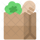 Grocery Bag Icon