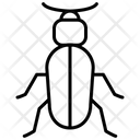 Ground Beetle Icon
