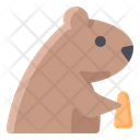 Groundhog Icon
