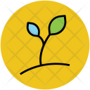 Growing Plant Seedling Icon