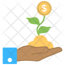 Money Plant Growth Icon