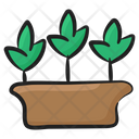 Growing Plant Eco Ecology Icon