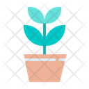 Growth Plant Icon