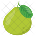 Guava Half Diet Icon