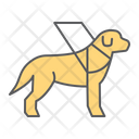 Guide Dog Labrador Icon