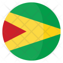 Guyana Flag Country Icon