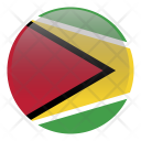 Guyana South America Icon