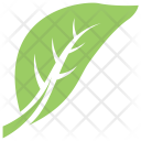 Hack Berry Leaf Icon