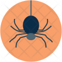 Halloween Spider Scary Icon