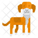 Hamiltonstovare Dog Icon