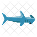 Hammerhead Shark Fish Icon