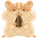 Hamster Wildlife Pet Icon