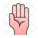 Hand Gesture Palm Icon