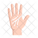 Hand Fingers Palm Icon