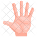 Hand Hand Fingers Icon