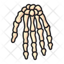 Hand Bones Skeleton Icon