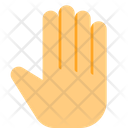 Hand Palm Icon