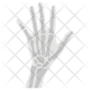 Hand X Ray Icon