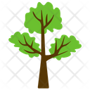 Hangman Elm Tree Icon