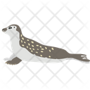 Harbor Seal Icon