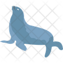 Animal Common Seal Harbor Seal Icon