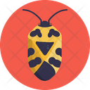 Insects And Bugs Harlequin Bug Icon